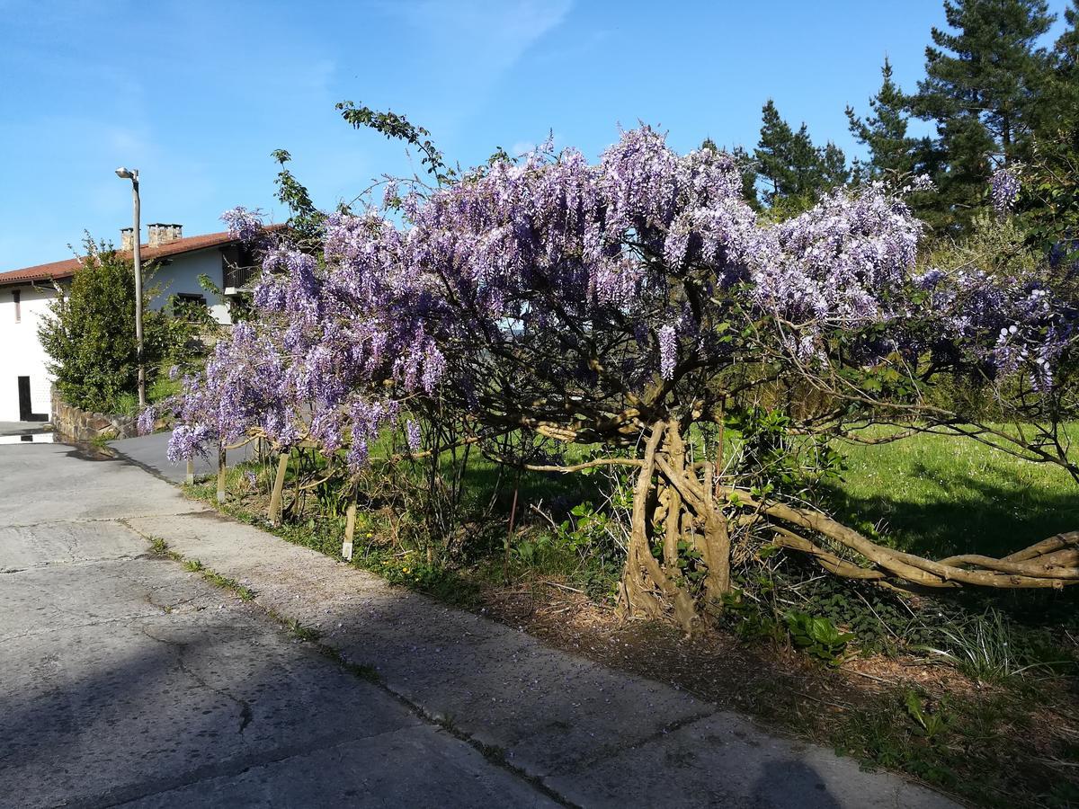 Casa Rural Miamendi Larrabetzu Екстер'єр фото